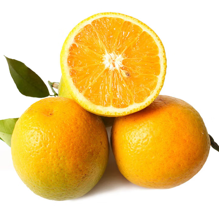 当季鲜橙