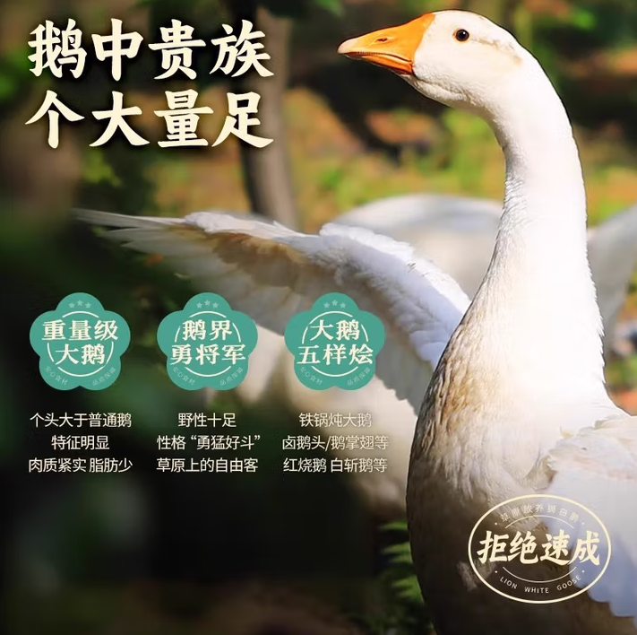大鹅农家散养仔鹅新鲜大鹅现杀生鹅肉冷冻嫩鹅白条鹅非老鹅 现杀大鹅 净重4-5斤